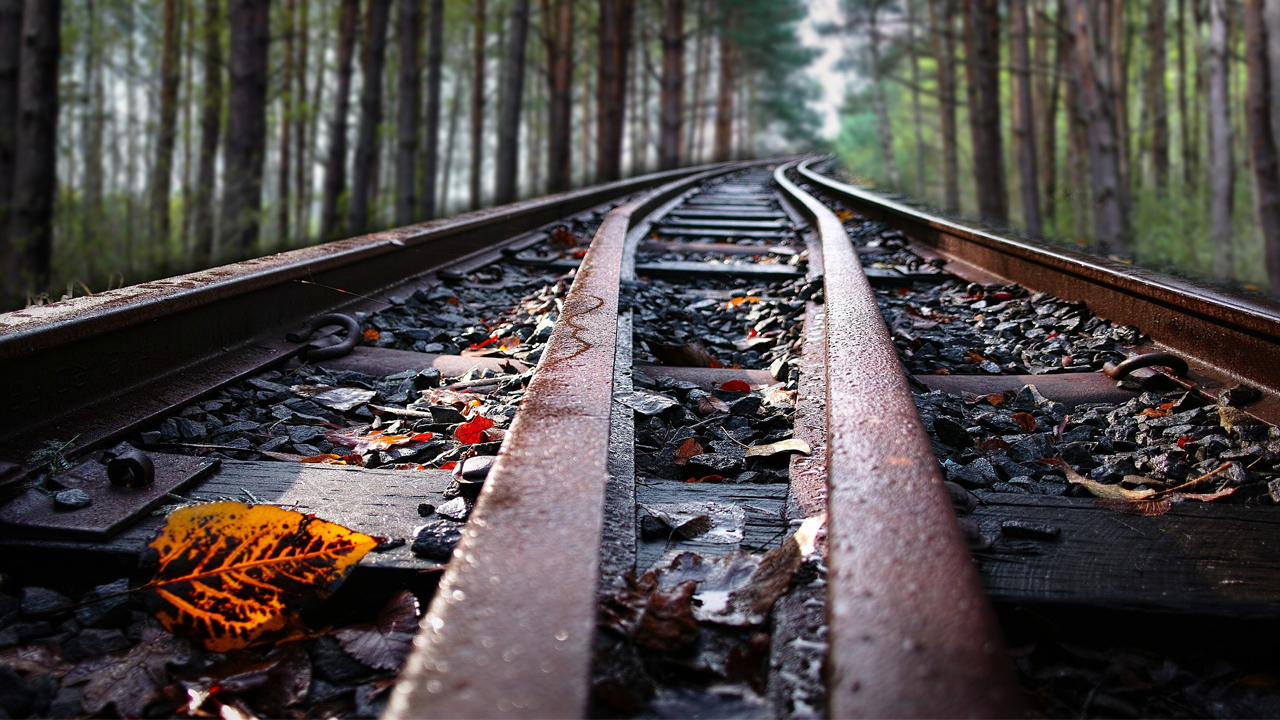Höstbild av ett järnvägsspår